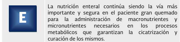 6. Terapia nutricional 0 - GPC-IMSS-375-17